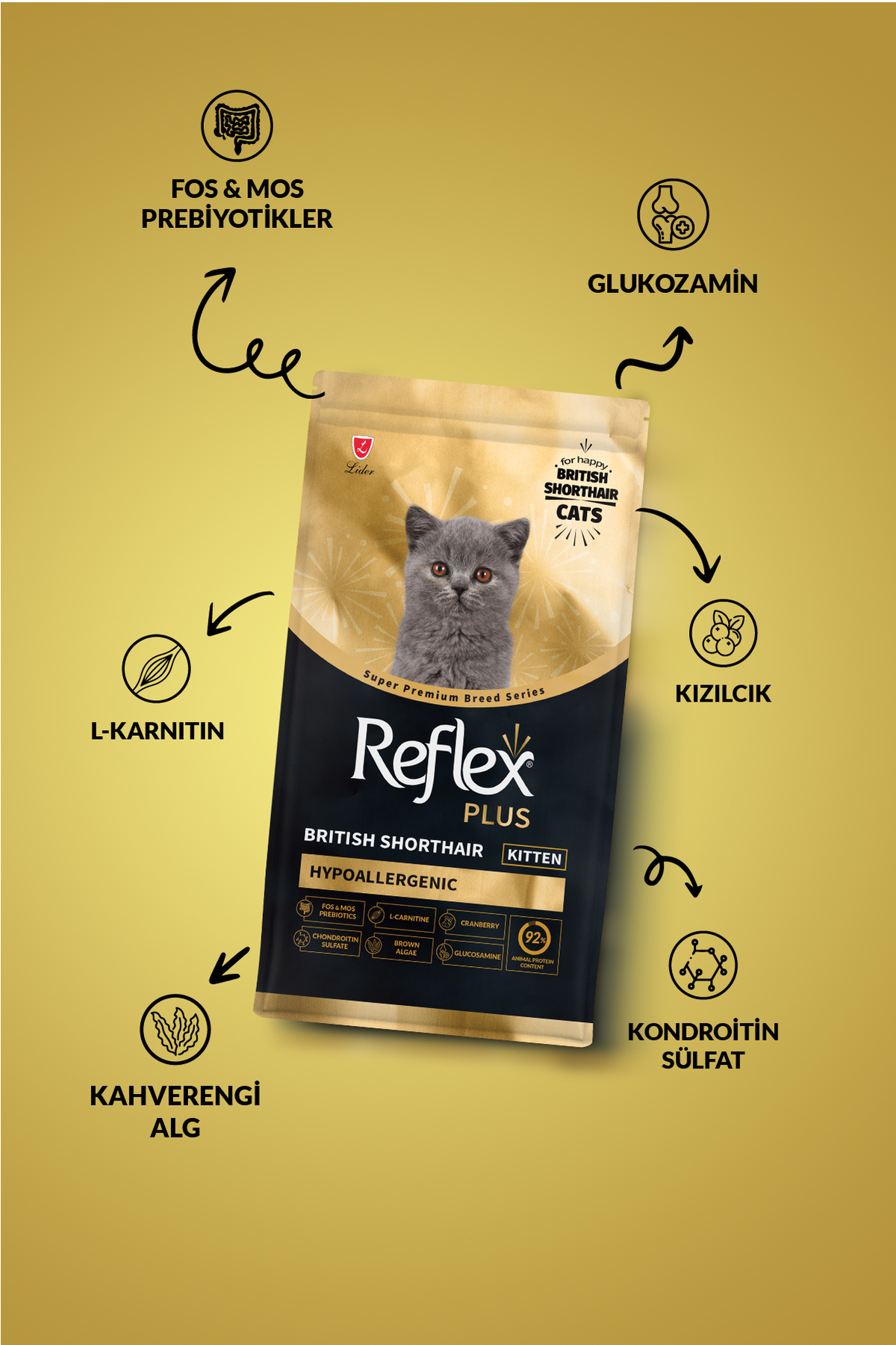 Plus British Shorthair Yavru Kedi Maması 8 Kg