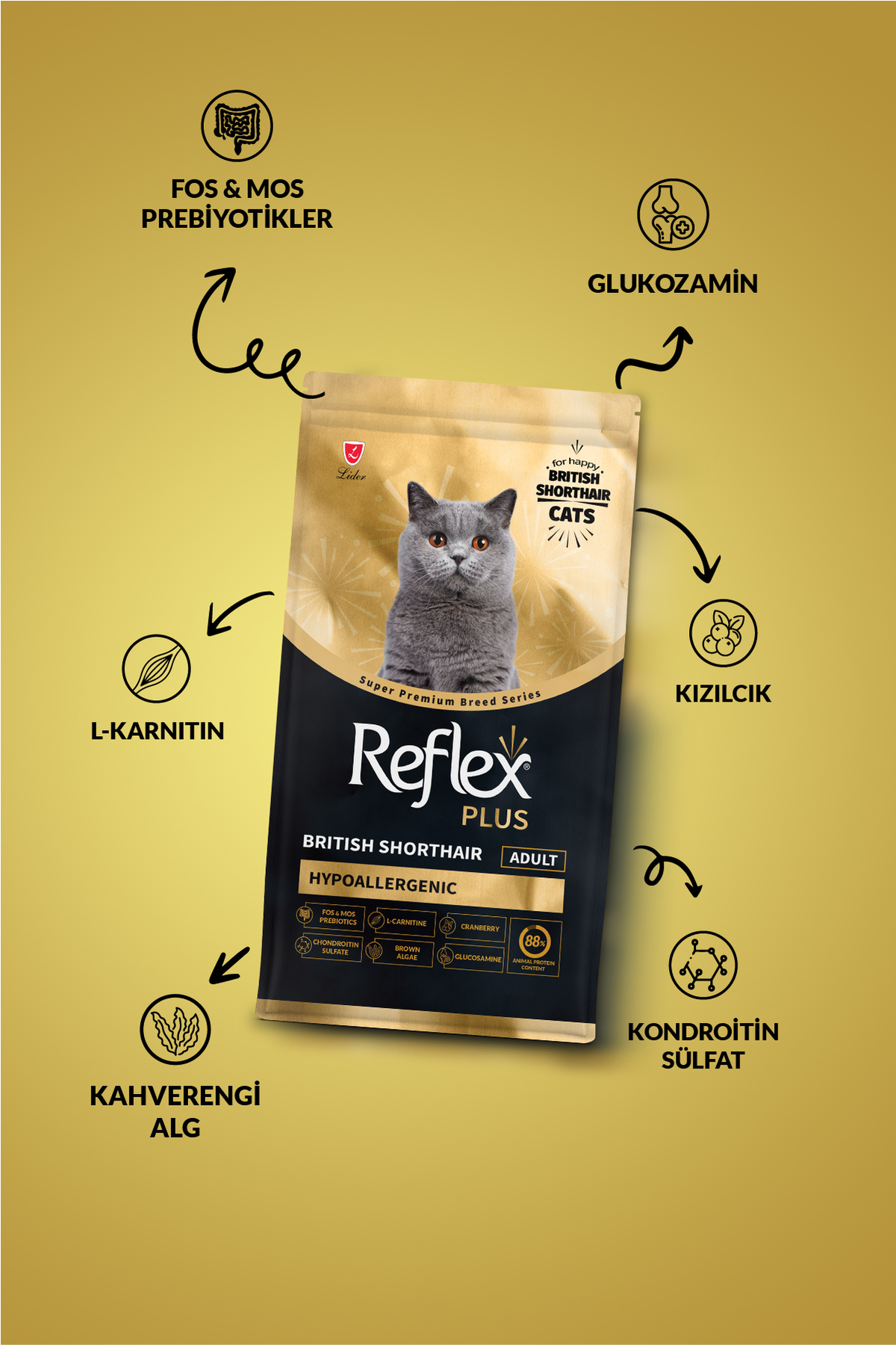 Plus British Shorthair Hipoalerjenik Yetişkin Kedi Maması 1,5 kg