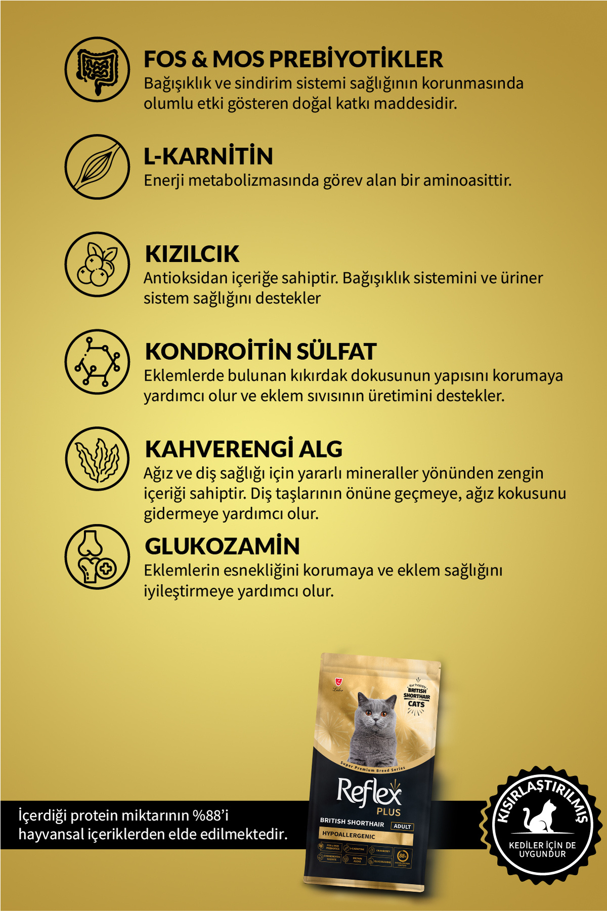 Plus British Shorthair Yetişkin Kedi Maması 8 Kg