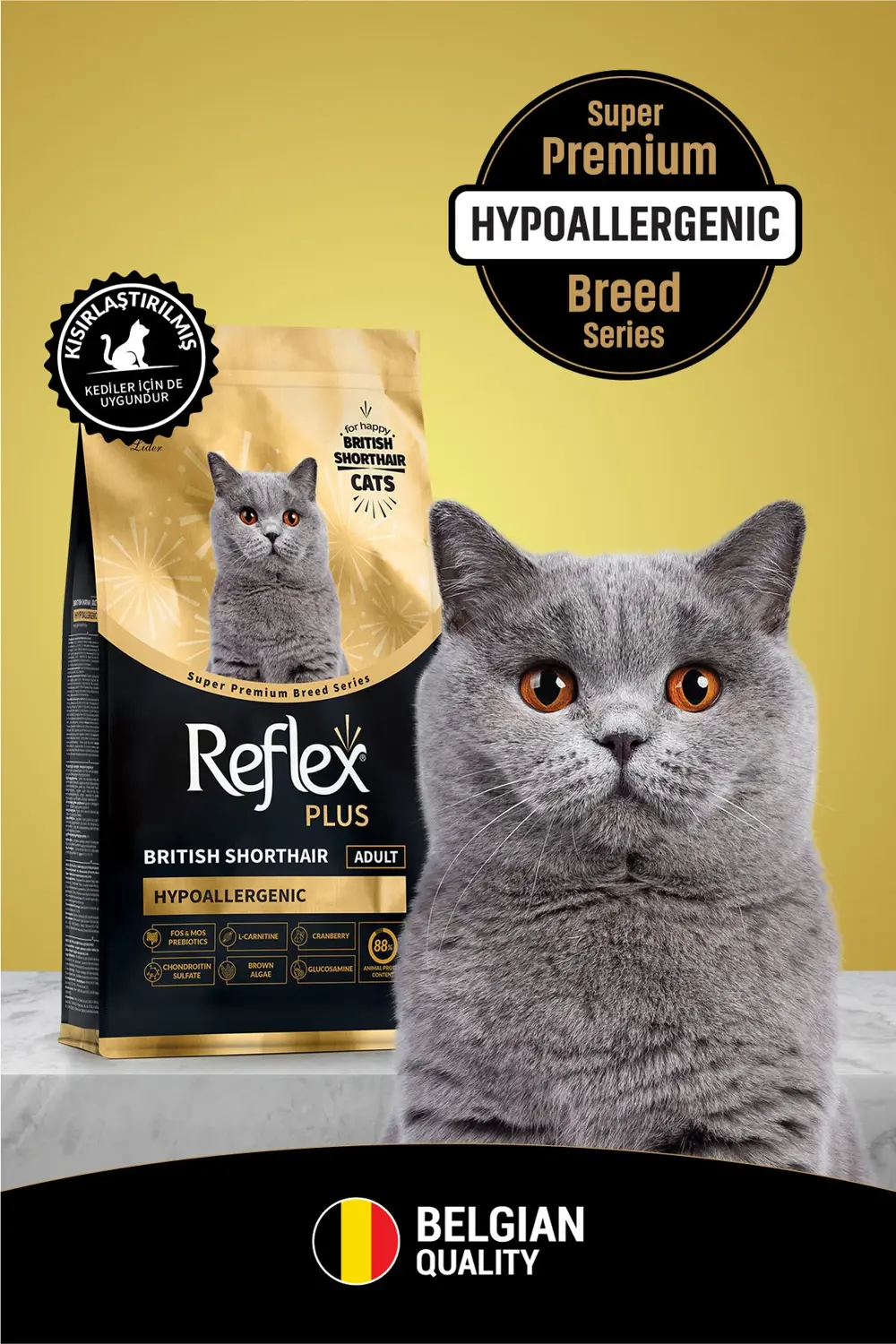 Plus British Shorthair Hipoalerjenik Yetişkin Kedi Maması 1,5 kg