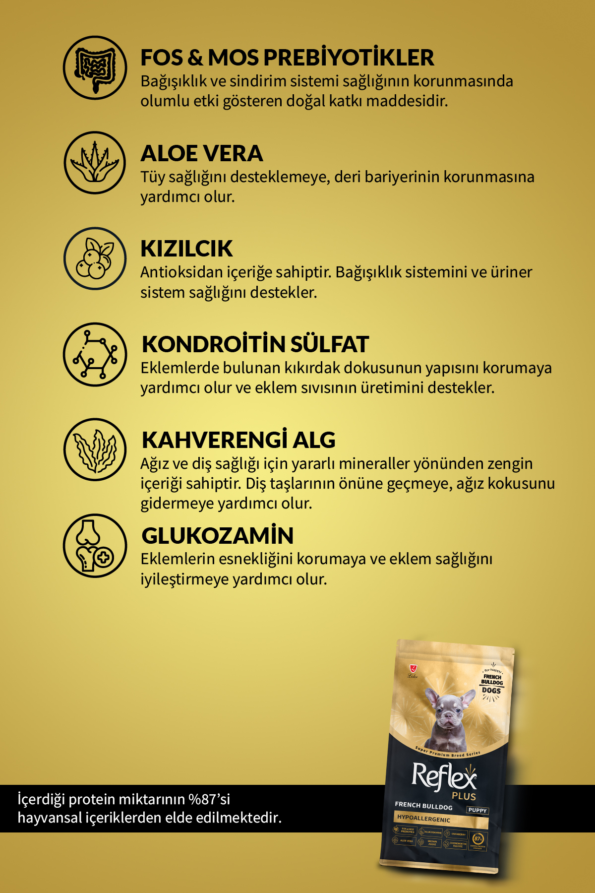 Plus French Bulldog Hipoalerjenik Yavru Köpek Maması 1,5 Kg