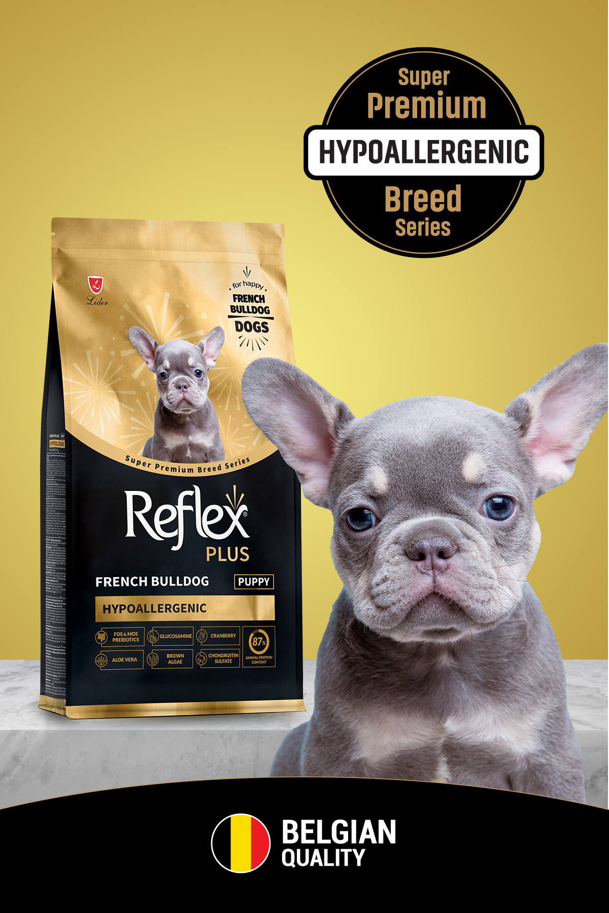 Plus French Bulldog Hipoalerjenik Yavru Köpek Maması 1,5 Kg