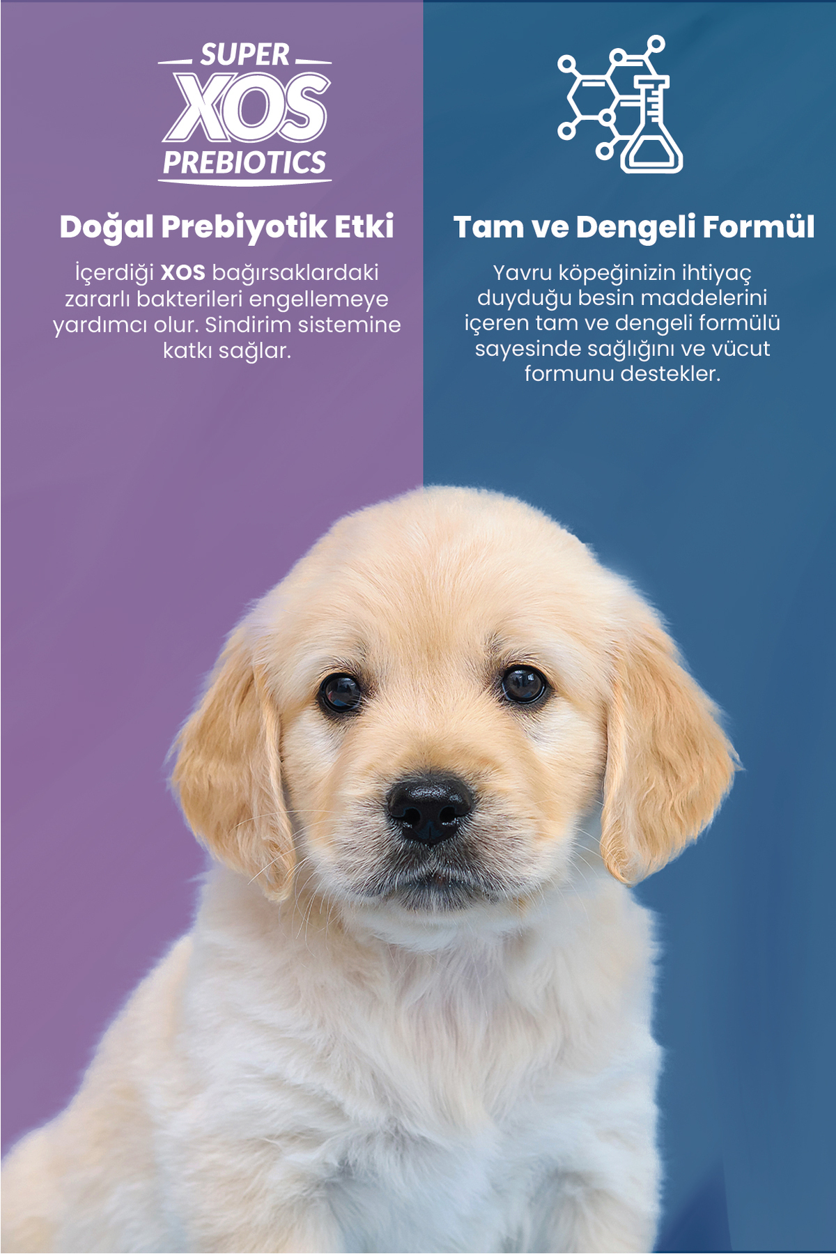 Plus Kuzu Etli Ve Pirinçli Çok Büyük Irk Yavru Köpek Maması 18 kg