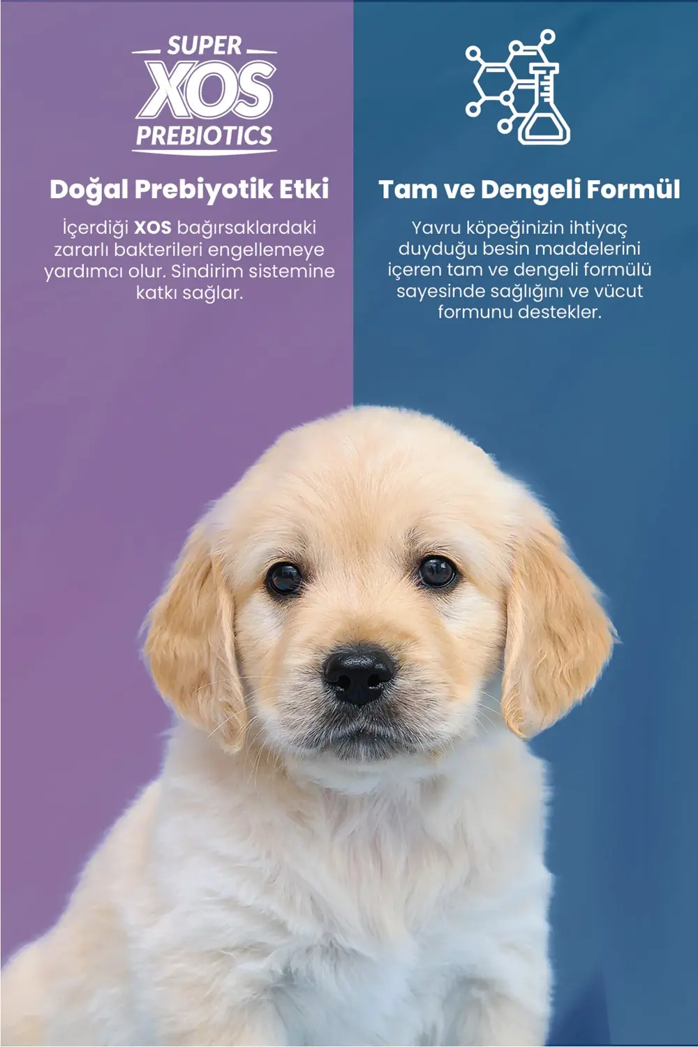 Reflex Plus Kuzu Etli Ve Pirinçli Çok Büyük İrk Yavru Köpek Maması 18 Kg