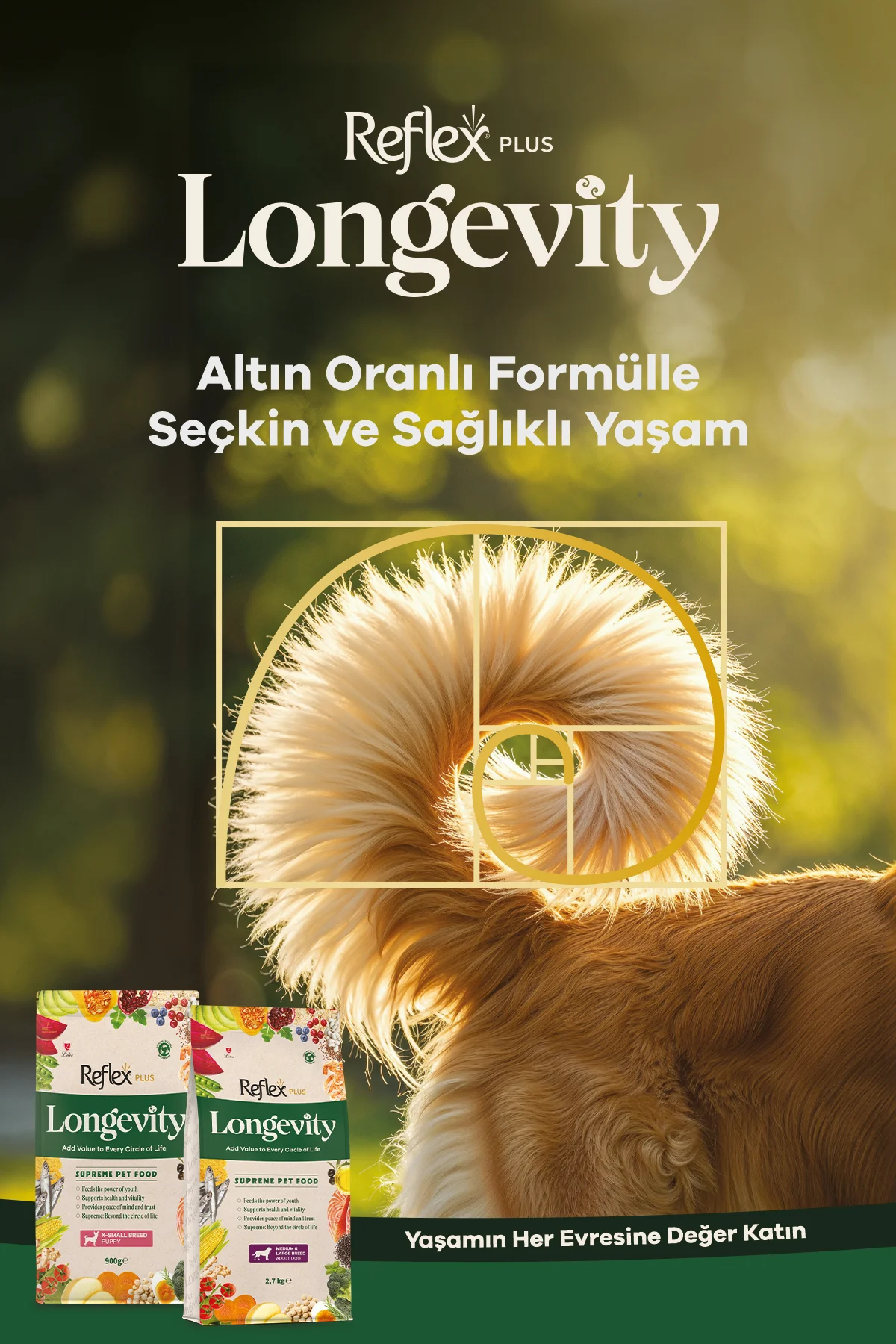 Plus Longevity Mini ve Küçük Irk Yetişkin Köpek Maması 1400g - Görsel 8