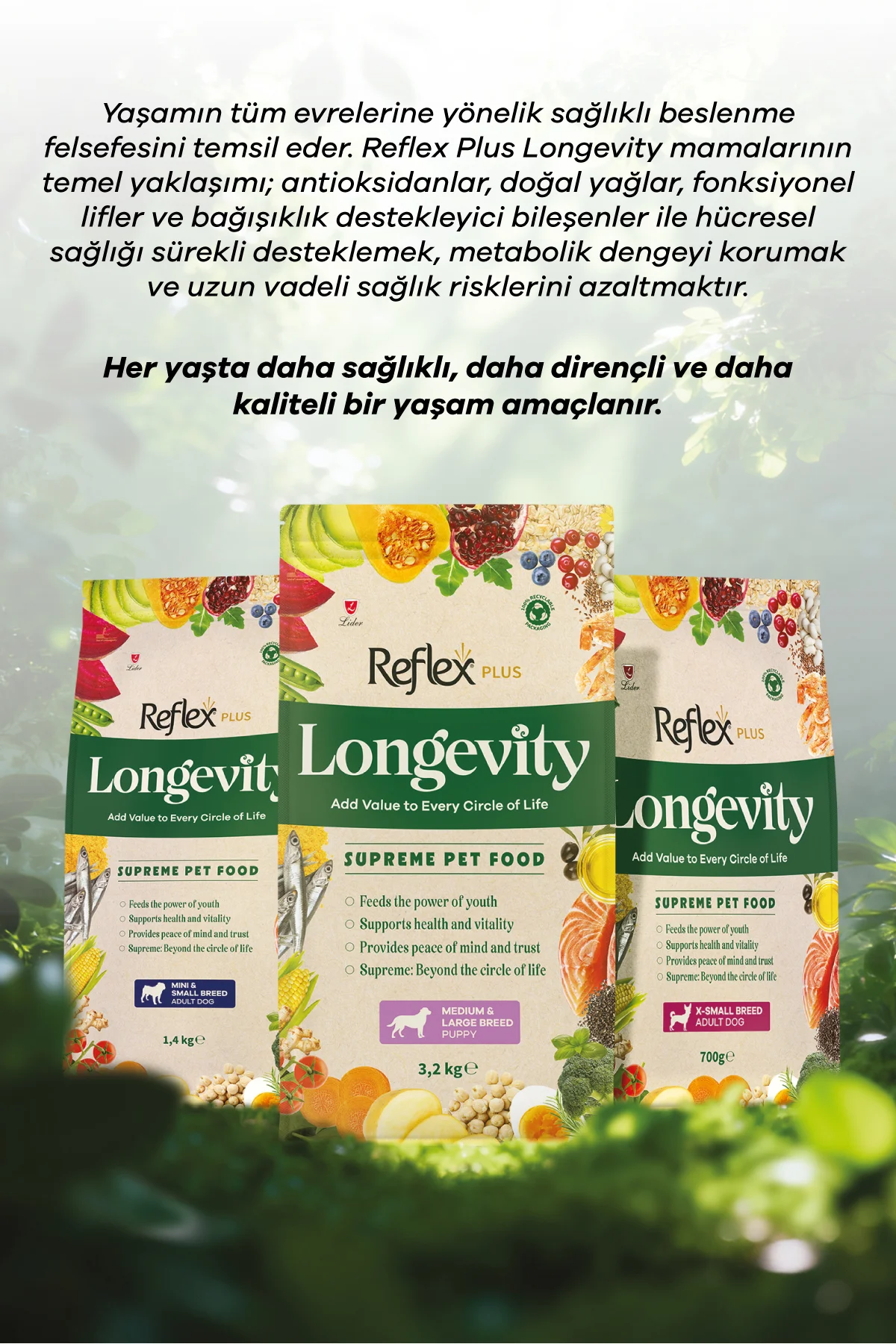 Plus Longevity Mini ve Küçük Irk Yetişkin Köpek Maması 1400g - Görsel 9