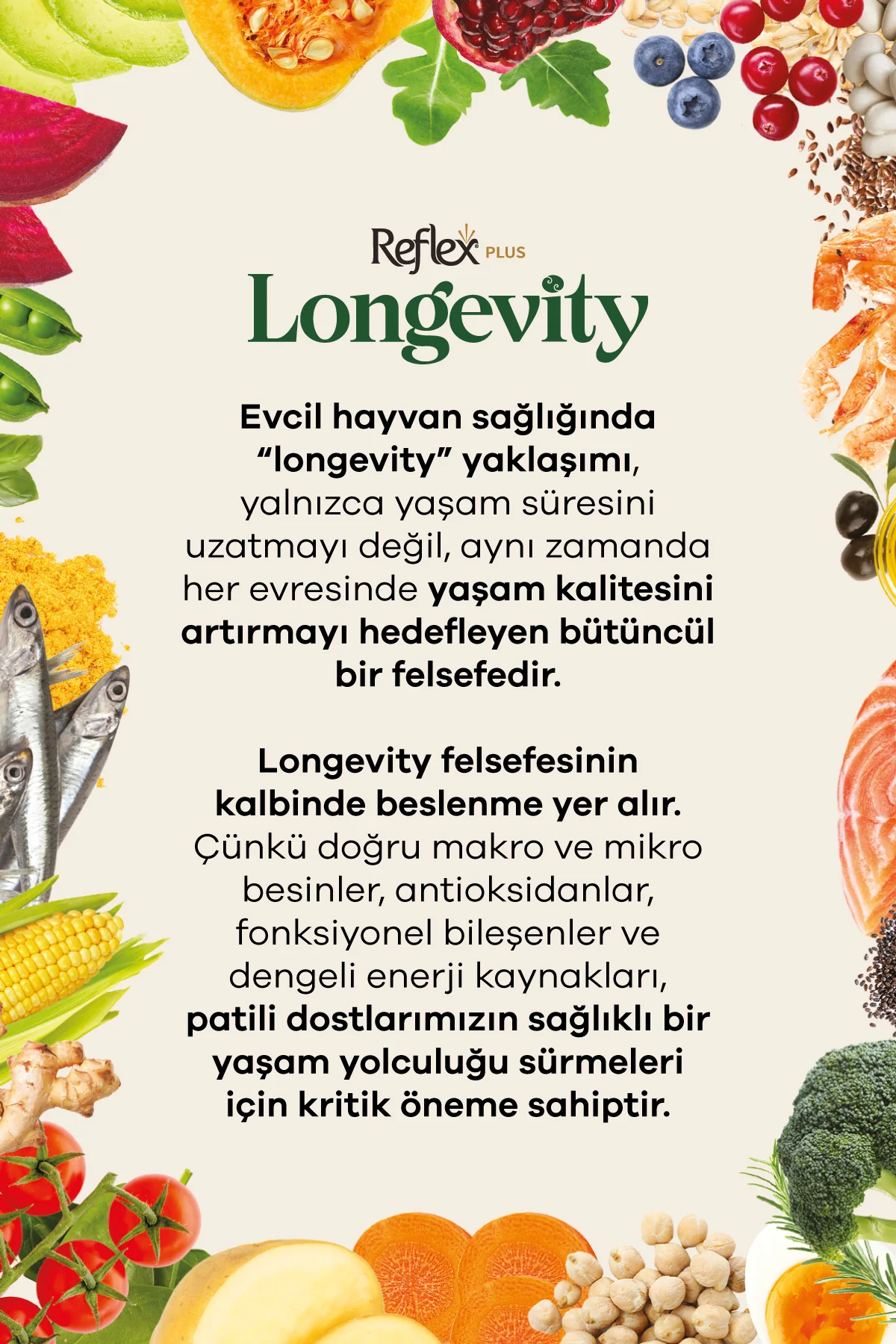 Plus Longevity Mini ve Küçük Irk Yetişkin Köpek Maması 1400g - Görsel 7