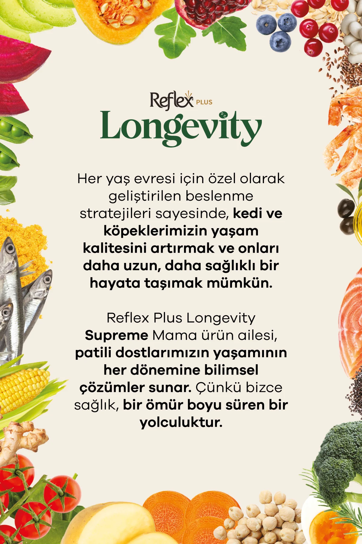 Plus Longevity Yavru Kedi Maması 800g - Görsel 5