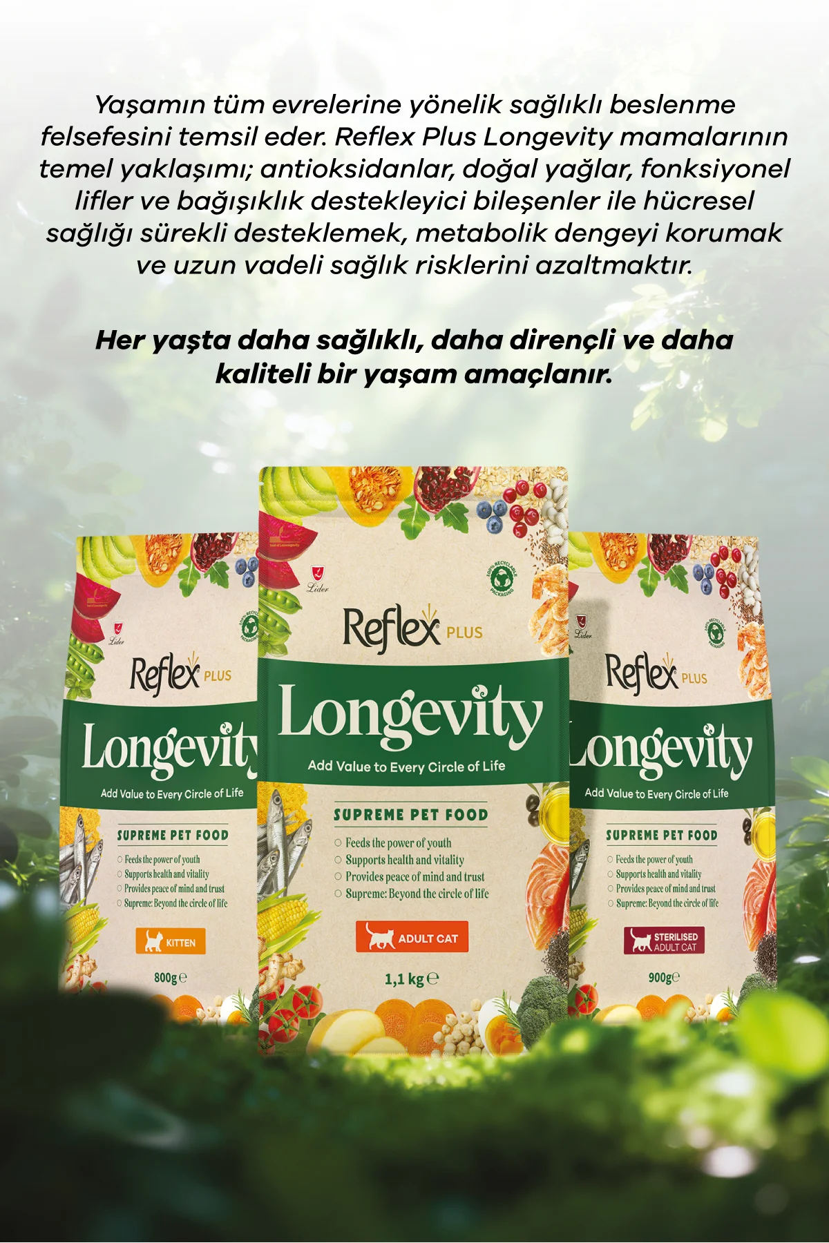 Plus Longevity Yetişkin Kedi Maması 1100g - Görsel 8