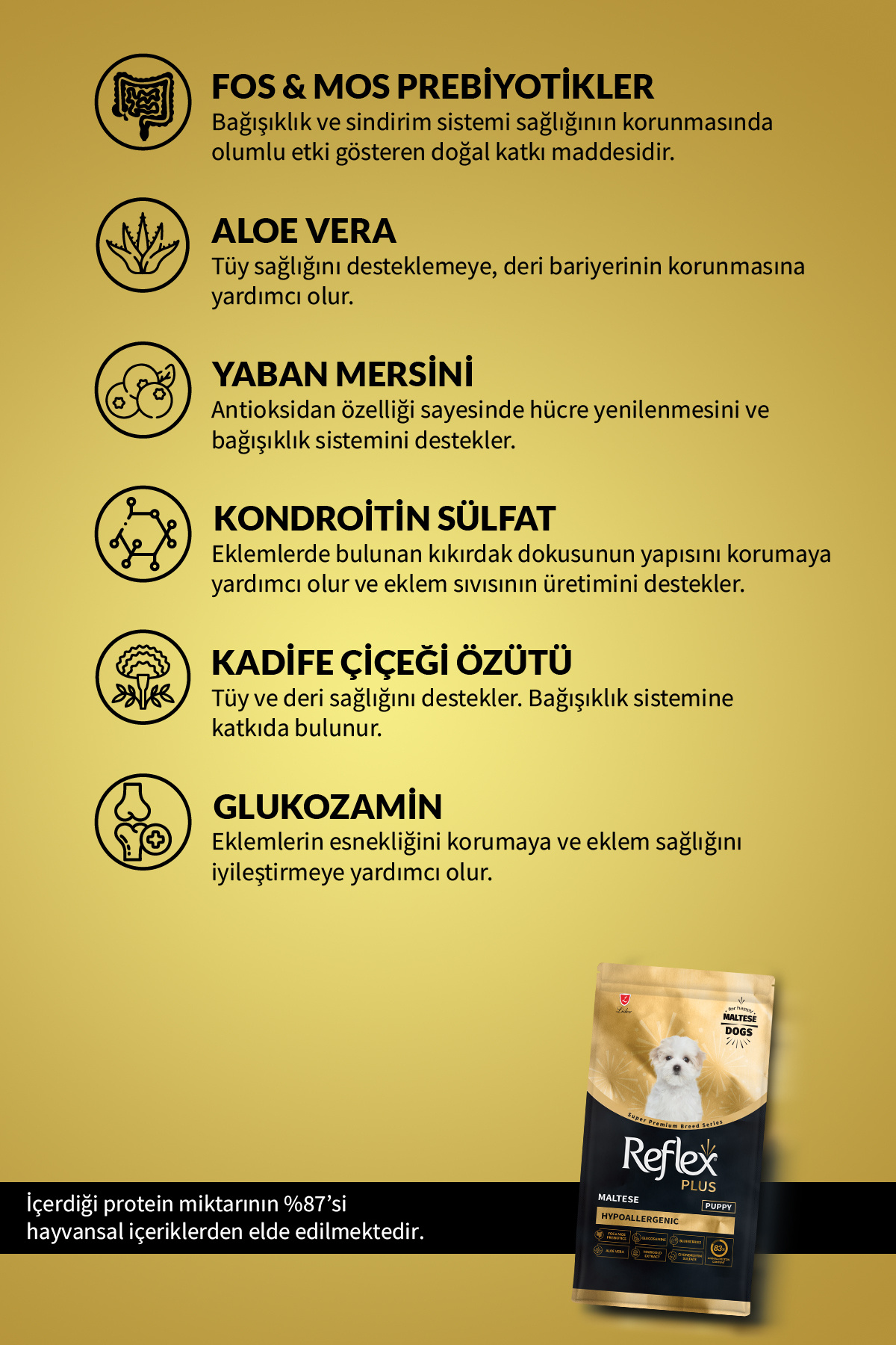 Plus Maltese Hipoalerjenik Yavru Köpek Maması 1,5 Kg