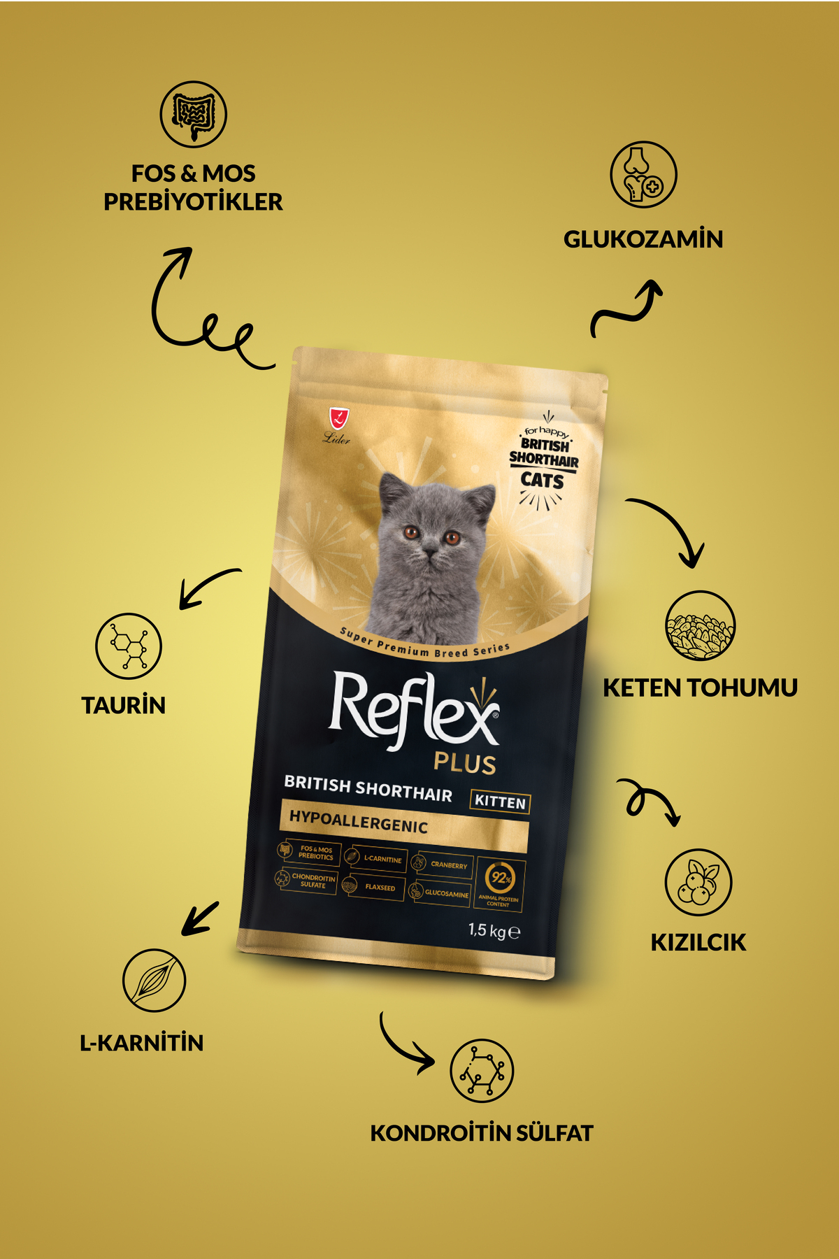 Plus Özel Irk British Shorthair Yavru Tavuklu Hipoalerjenik Kedi 