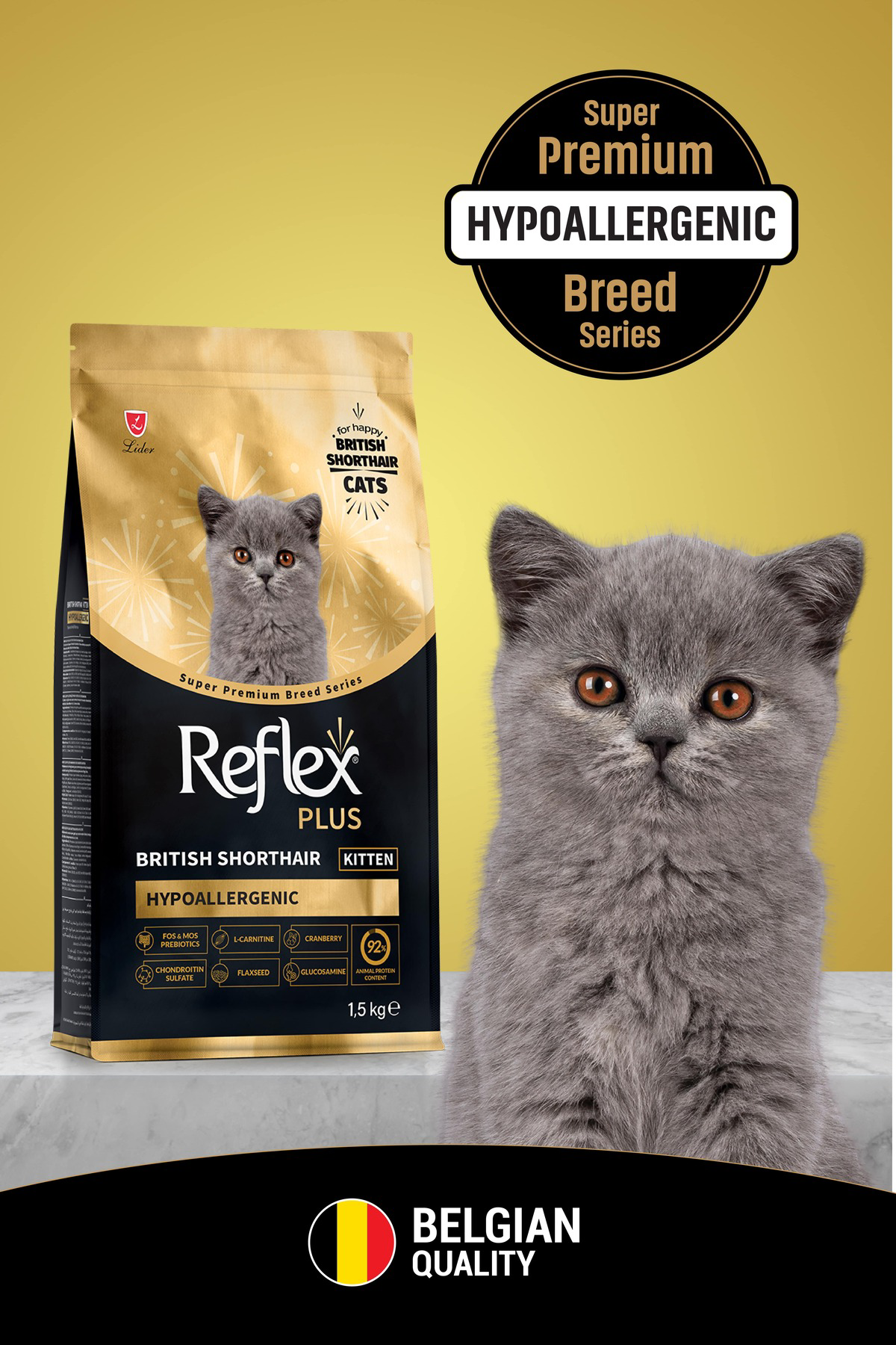 Plus Özel Irk British Shorthair Yavru Tavuklu Hipoalerjenik Kedi 