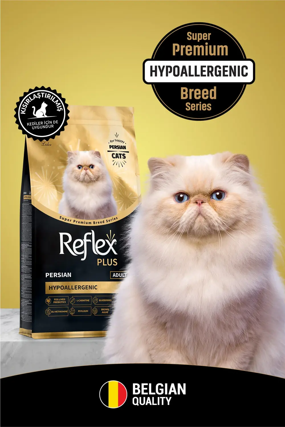 Plus Persian Hipoalerjenik Yetişkin Kedi Maması 1,5 Kg