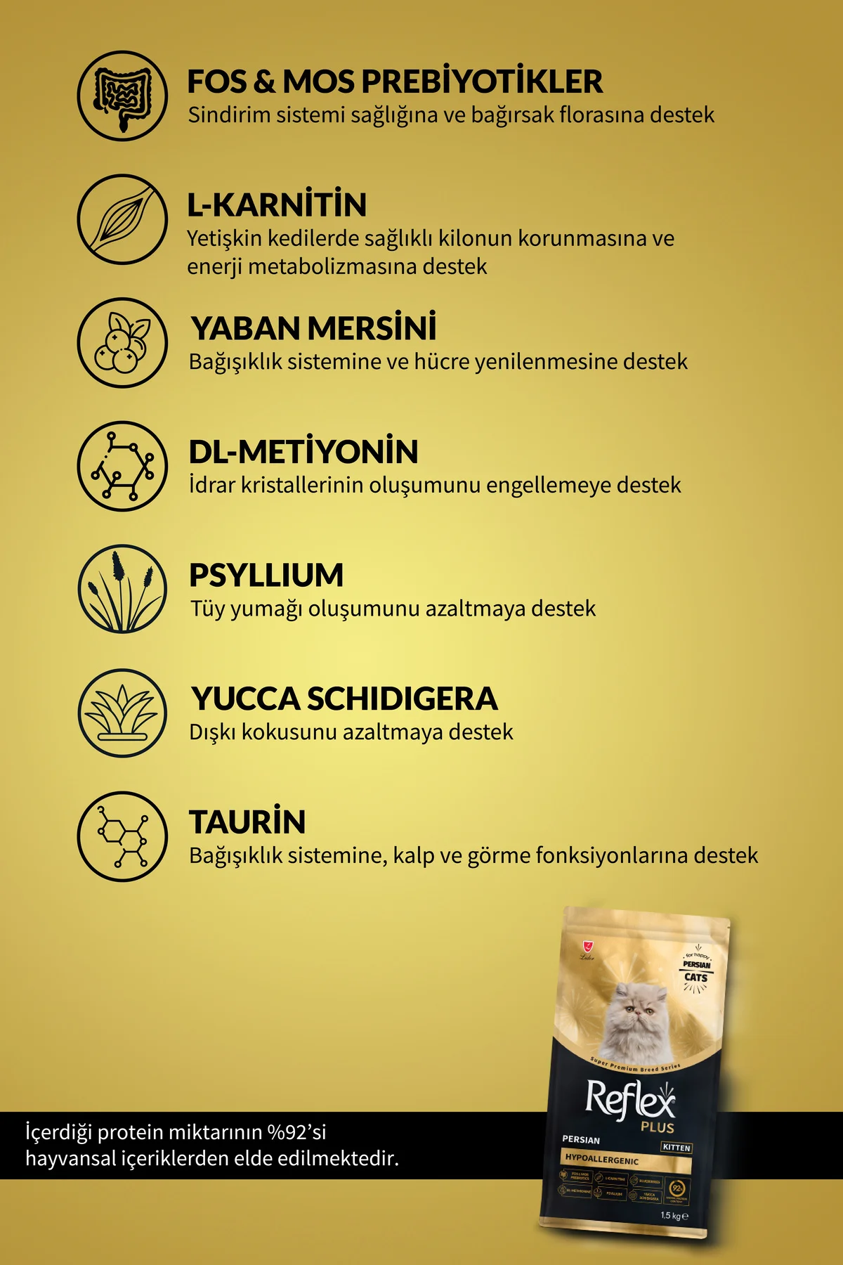 Plus Persian (İran) Yavru Kedi Maması 1,5 kg