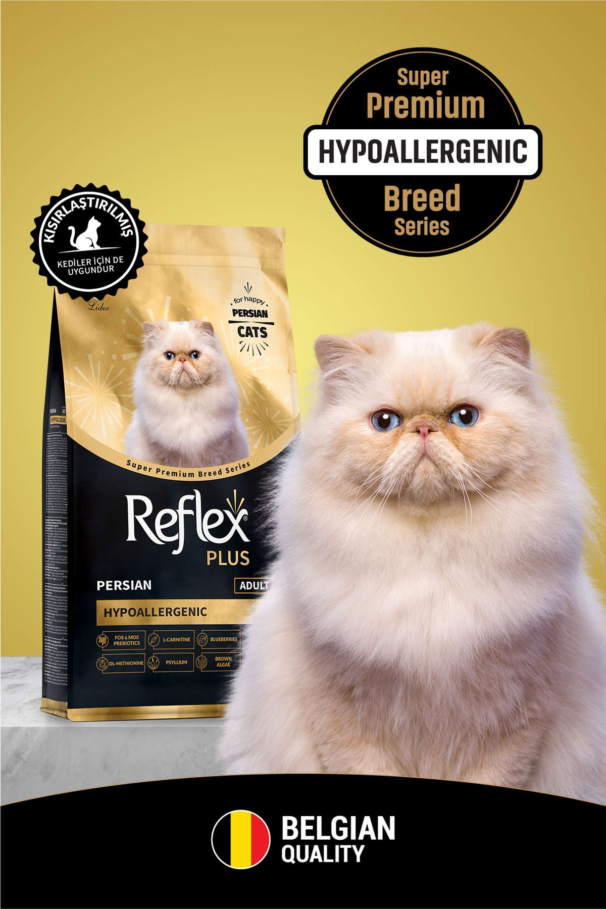 Plus Persian Yetişkin Kedi Maması 8 Kg