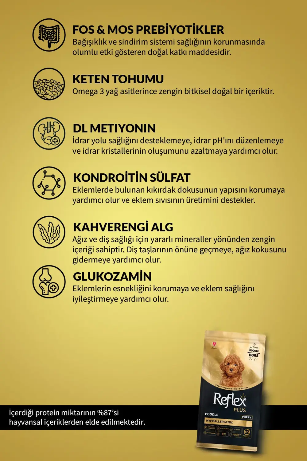 Plus Poodle Yavru Köpek Maması 8 Kg