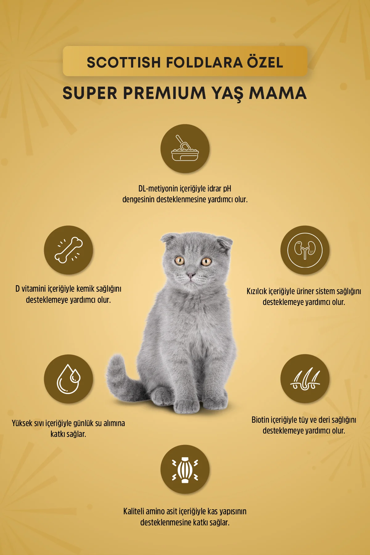 Plus Pouch Scottish Fold İdrar Yolu Sağlığı Destekli Soslu Yetişkin Kedi Yaş Maması 85 GR - Görsel 2