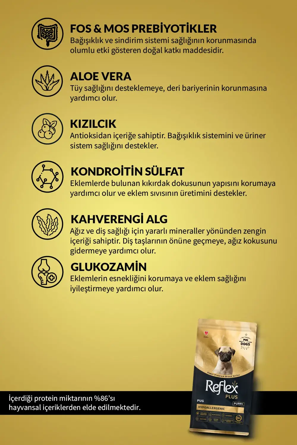 Plus Pug Hipoalerjenik Yavru Köpek Maması 1,5 Kg