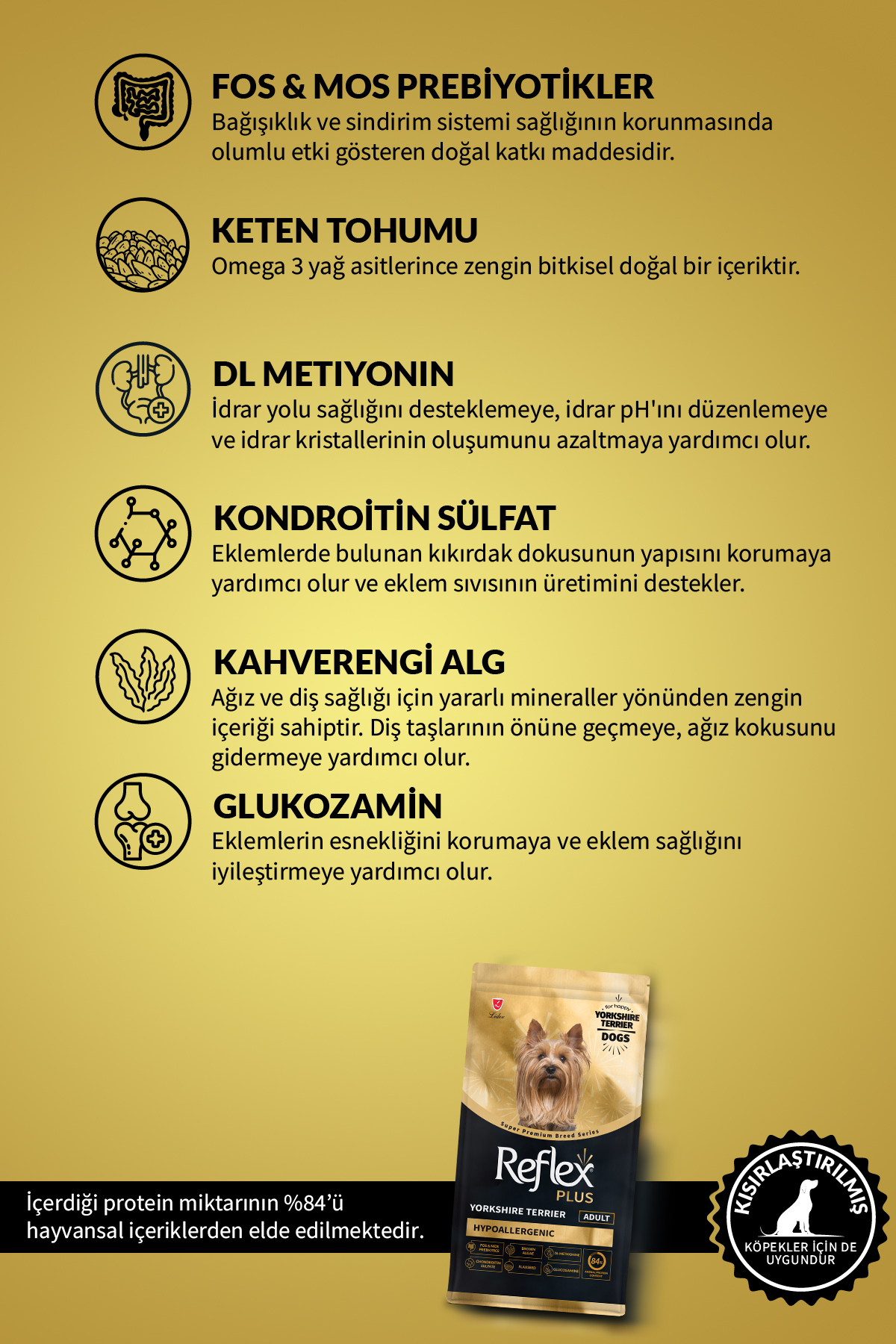 Plus Yorkshire Terrier Hipoalerjenik Yetişkin Köpek Maması 2 Kg