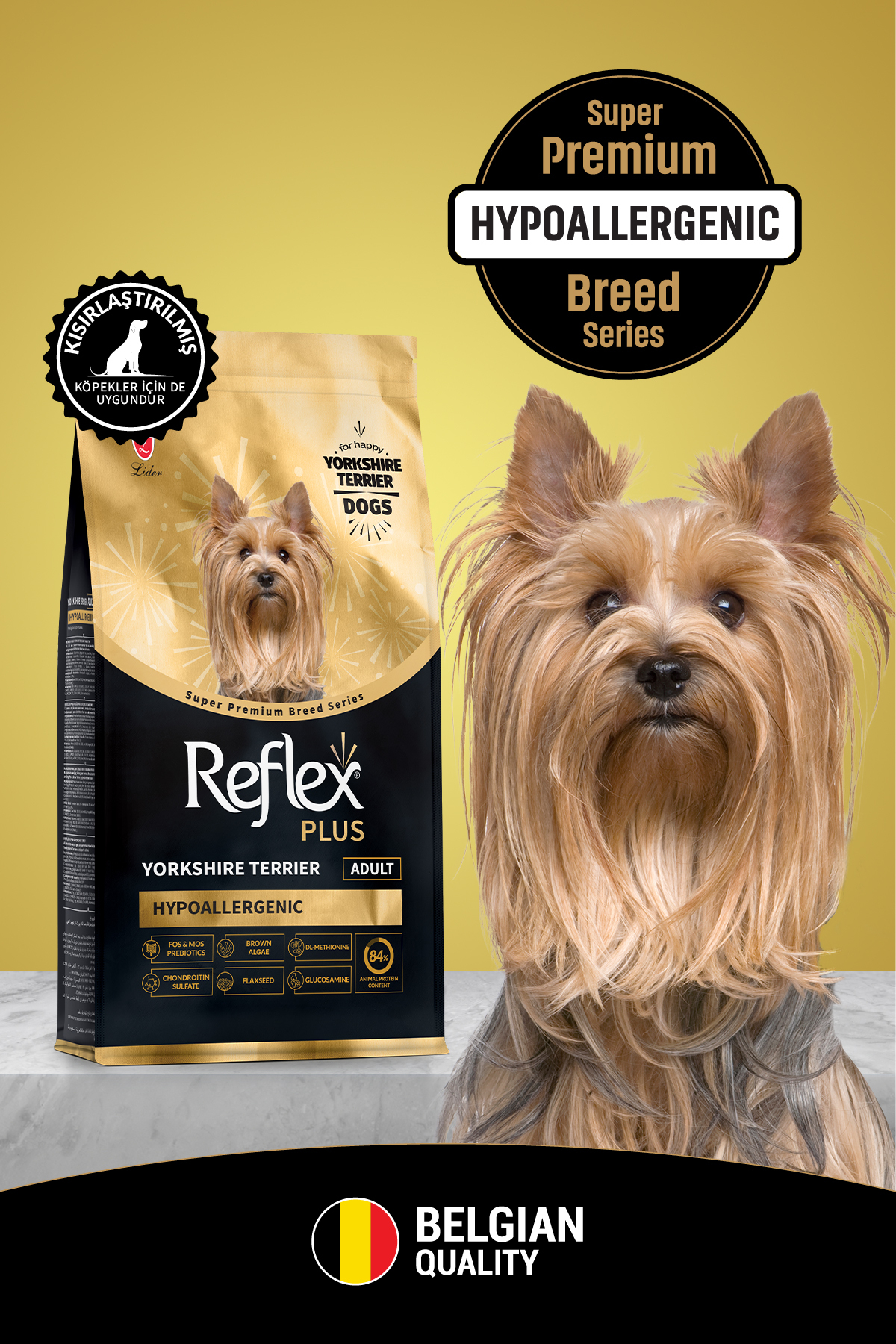Plus Yorkshire Terrier Hipoalerjenik Yetişkin Köpek Maması 2 Kg