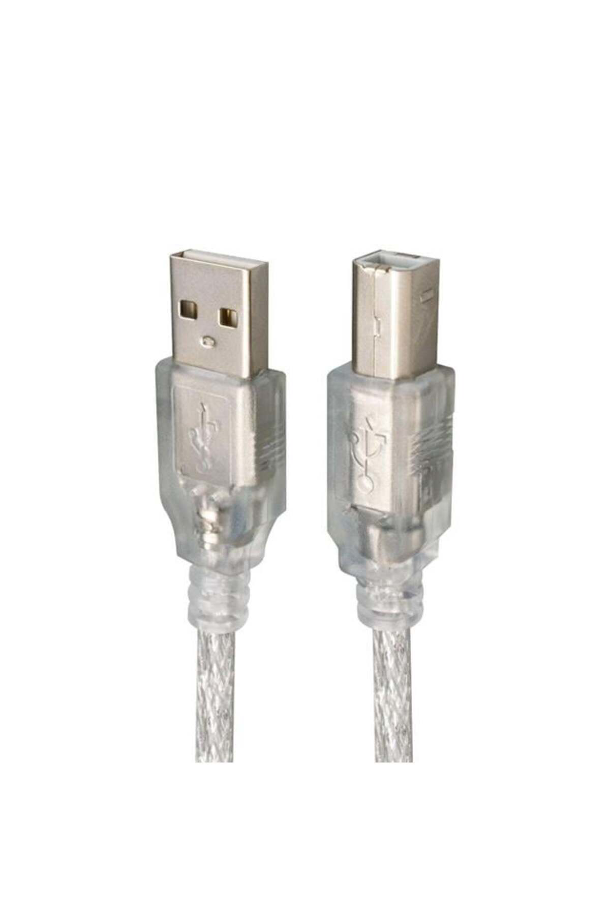 PM-3267 3 Metre Şeffaf Mavi USB 2.0 Yazıcı Kablosu
