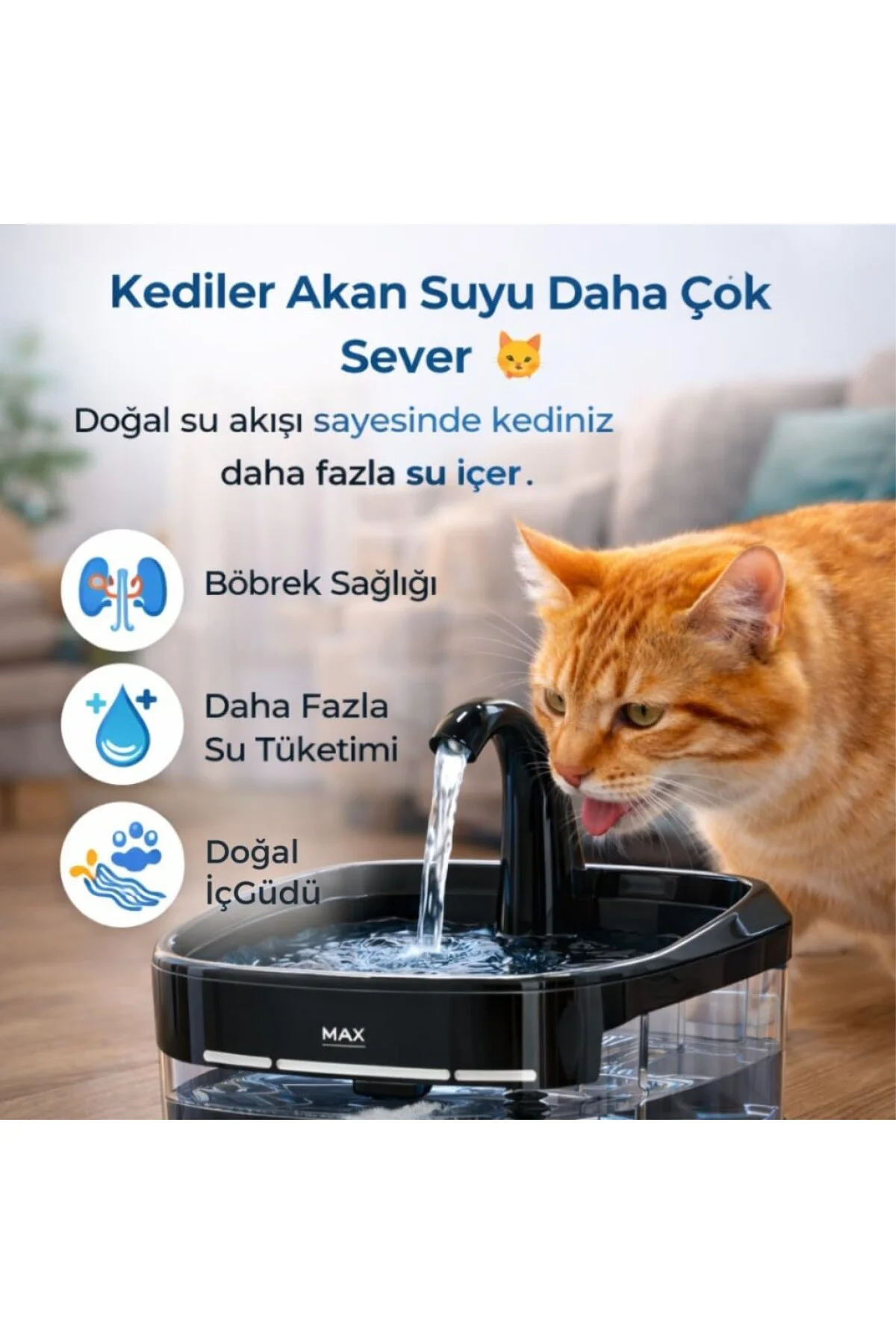 Polham Akıllı Otomatik Kedi Köpek Su Sebili 4.5L | Sessiz Motorlu