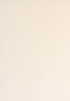 POLY Peluş Halı - Yumuşacık Dokulu, Kaymaz Tabanlı Salon Halısı Fiyatı, Yorumları ve Özellikleri