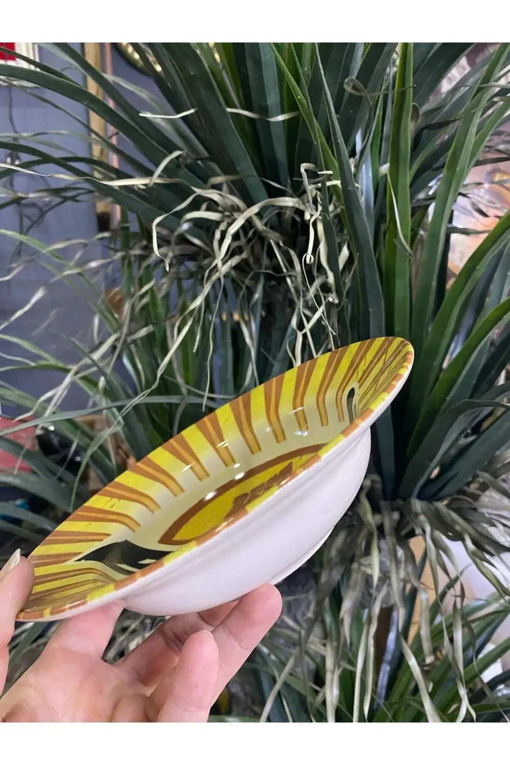 Porselen Makarna Tabağı Tekli