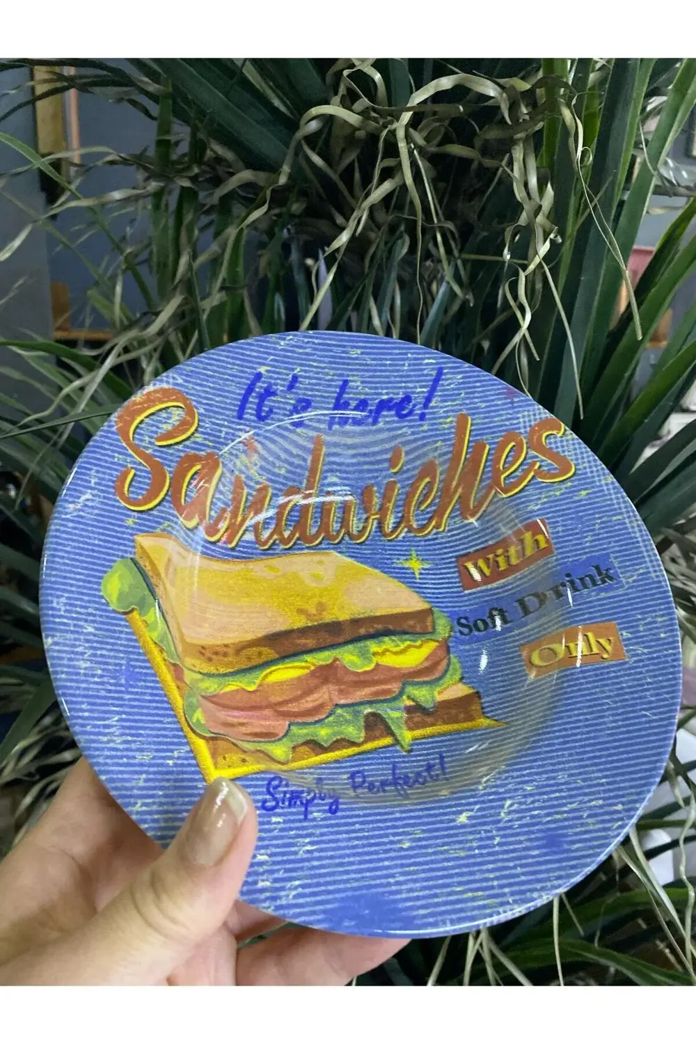 Porselen Makarna Tabağı Tekli