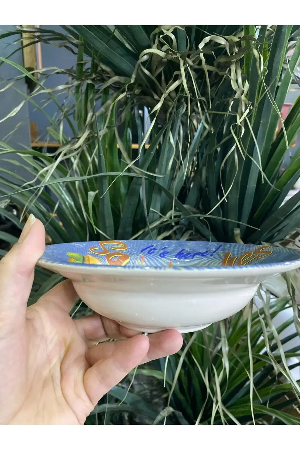 Porselen Makarna Tabağı Tekli