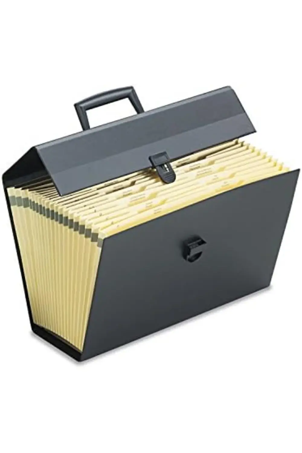 Portafile Expanding Organizer with 19 Pockets,, 395519