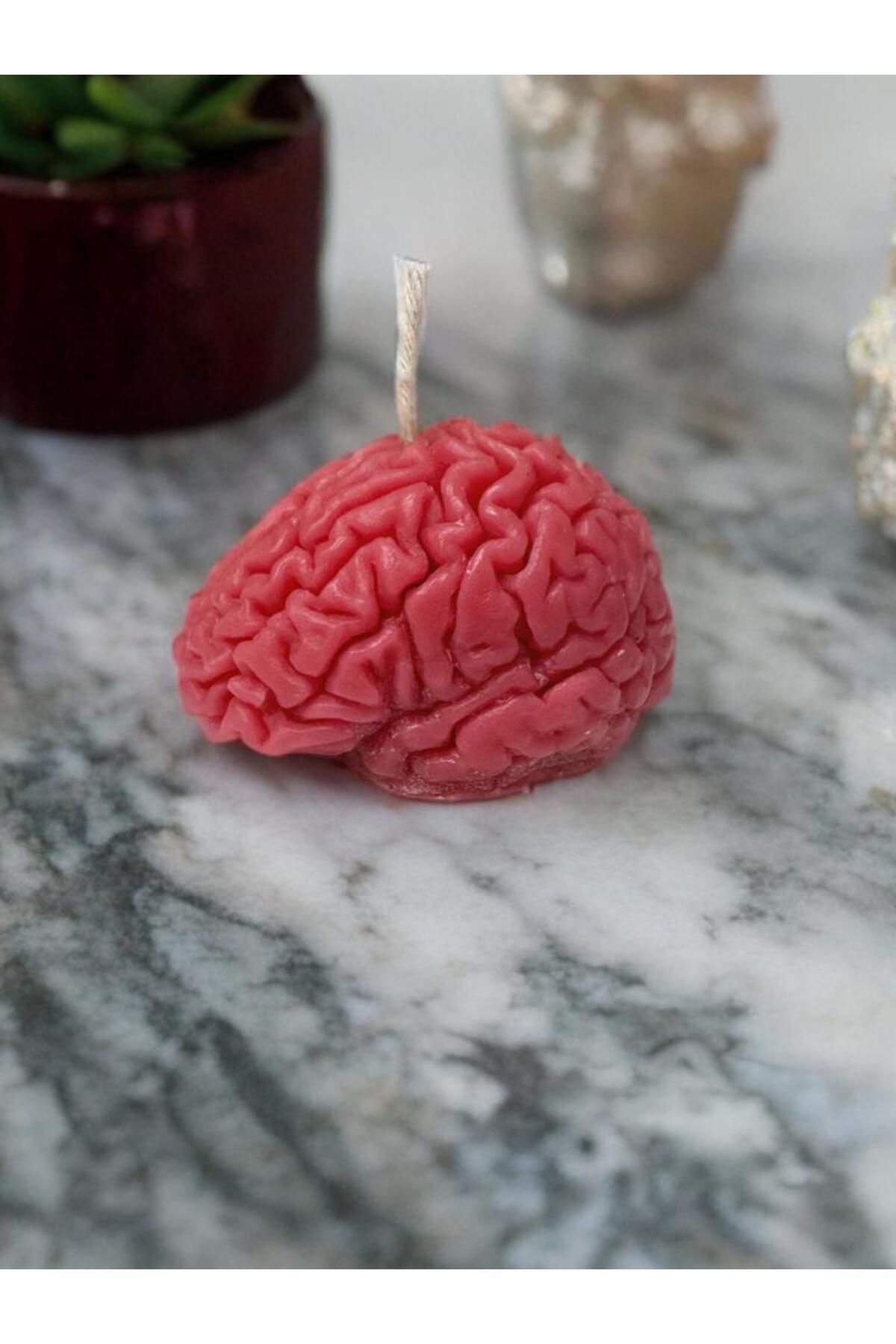 portakal kokulu beyin şeklinde dekoratif hediyelik mum