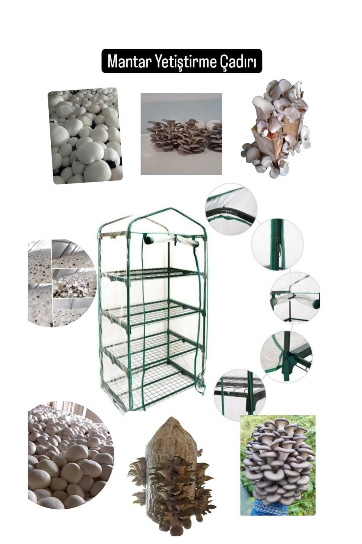 Tarımsal Ve Hayvansal Ürünler Portatif Katlı Mantar Yetiştirme Çadırı