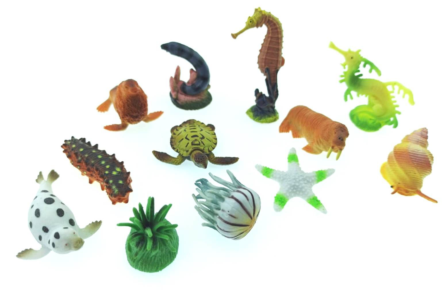 Poşetli Deniz Hayvanları Seri 2 Denizatı