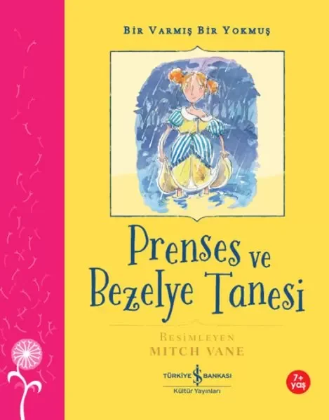 Postayla Gelen Deniz Kabuğu
