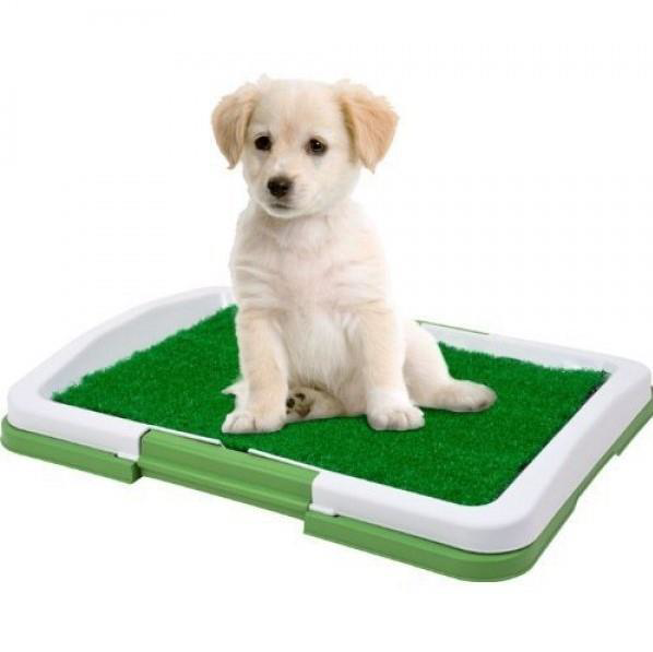 Potty Pad Köpek Tuvalet Eğitim Kiti 47*34*6cm