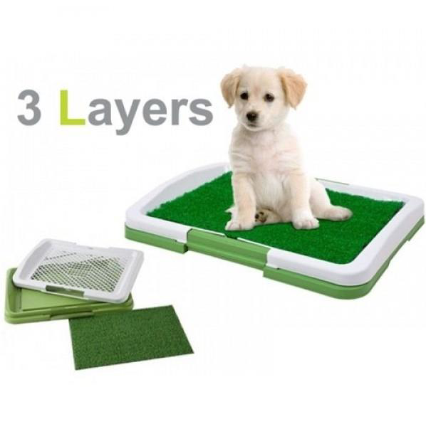 Potty Pad Köpek Tuvalet Eğitim Kiti 47*34*6cm
