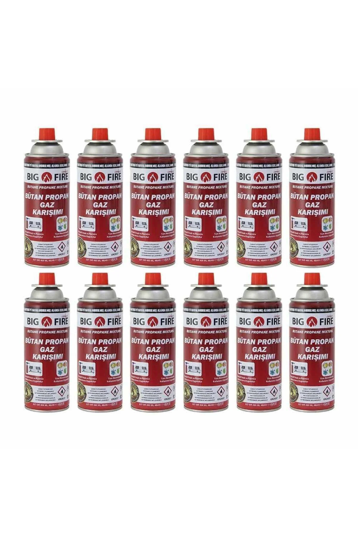 Power 227gr Valfli Gaz Kartuşu - 12'li Set