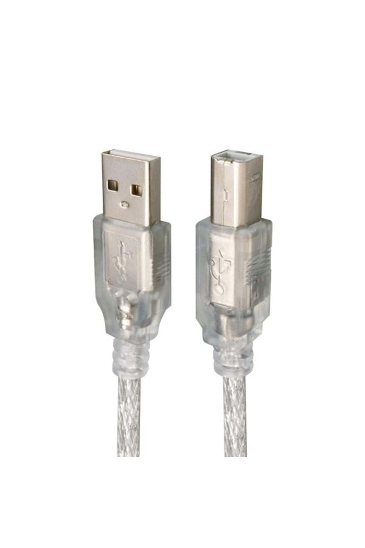 Powermaster 5 Metre 2.0V Şeffaf/Mavi Usb Yazici Kablosu