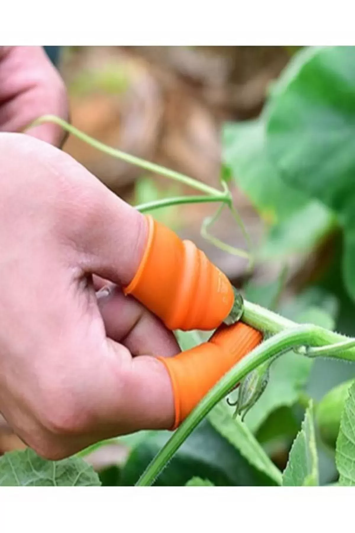 Just Cheap Store Pratik Baş Parmak Sebze Kesme Ayiklayici 1277