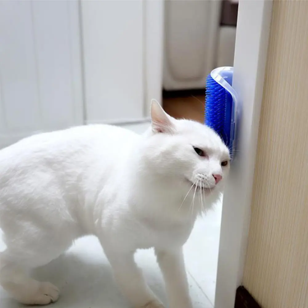 Pratik Kedi Tüyü Kaşıma Ve Tarama Aparatı Duvara Monte Kaşıma Ale