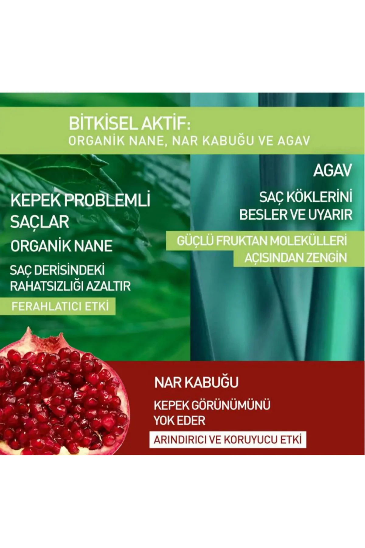 Prebiyotik Şampuan Kepeğe Karşı Anti Pelliculaire Nar Kabuğu, Org