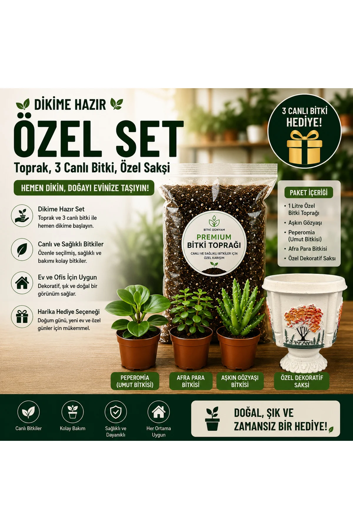 Premium Dikime Hazır Bitki Seti | Toprak, 3 Canlı Bitki ve Dekora