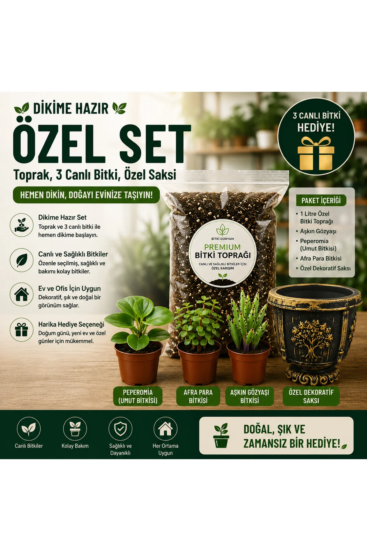 Premium Dikime Hazır Bitki Seti | Toprak, 3 Canlı Bitki ve Dekora Premium Dikime Hazır Bitki Seti | Toprak, 3 Canlı Bitki ve Dekora