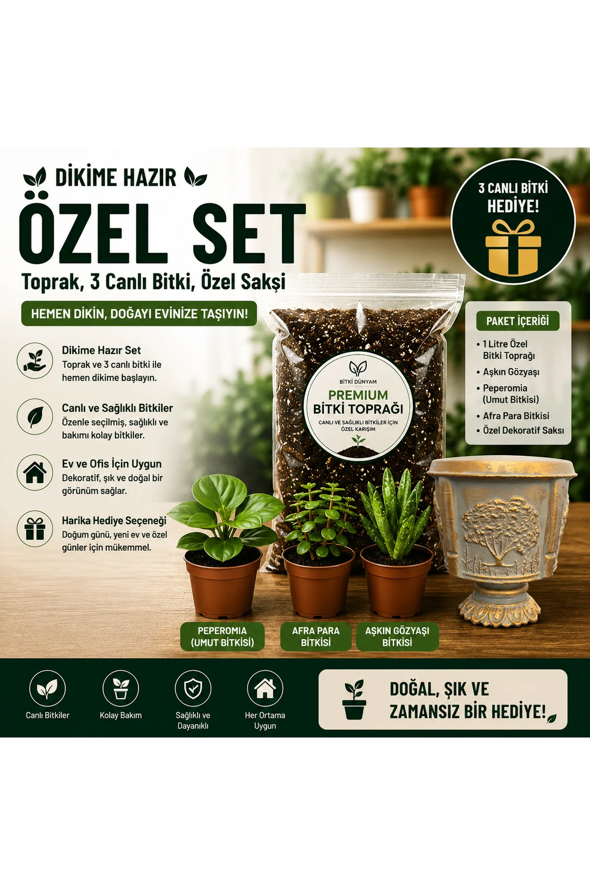 Premium Dikime Hazır Bitki Seti | Toprak, 3 Canlı Bitki ve Dekoratif Saksı 3