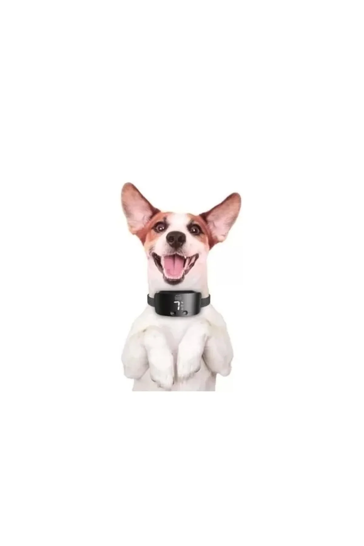 Premium Havlama Önleyici Köpek Eğitim Tasması Siyah