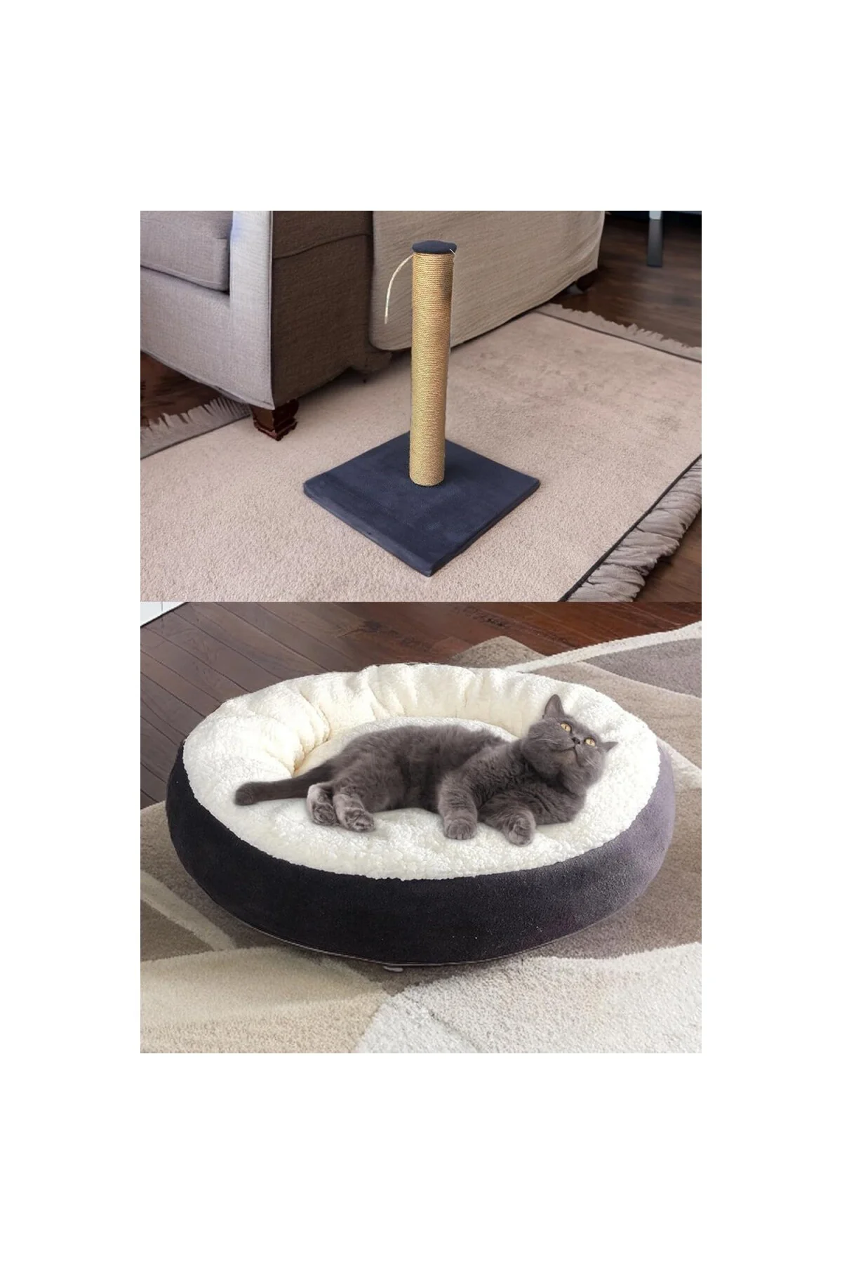 Premium kedi başlangıç seti - Lüks kapalı kedi tuvaleti, taşıma s