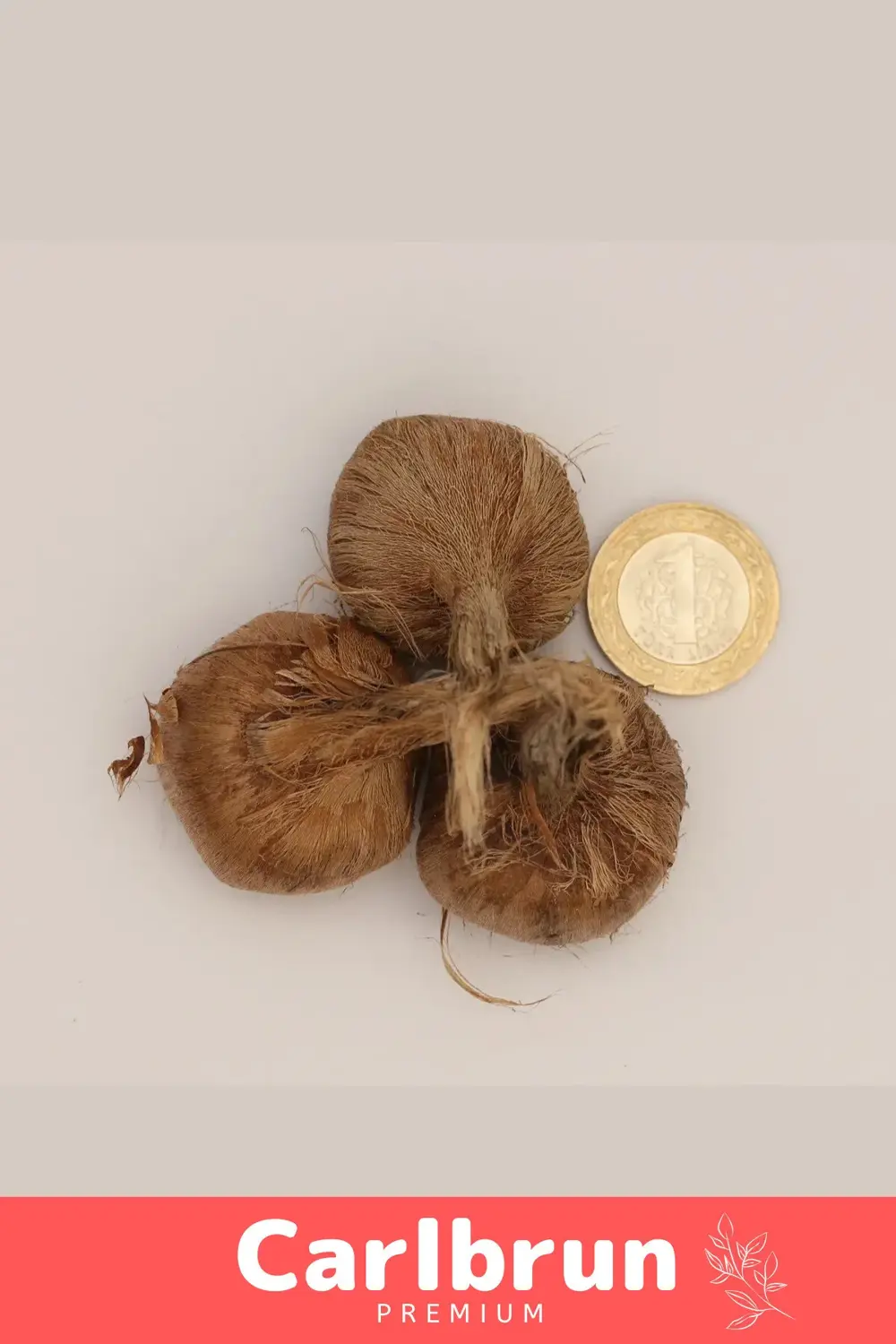 Premium Özel Dikime Hazır Yerli Üretim Büyük Boy 1. Kalite Safran
