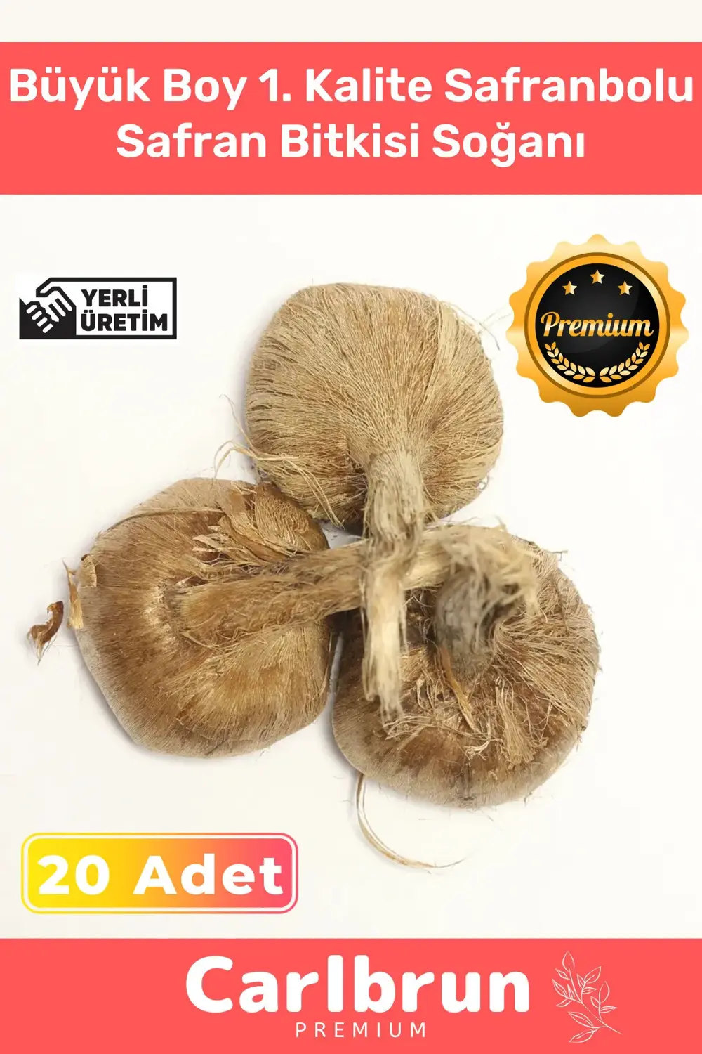 Premium Özel Dikime Hazır Yerli Üretim Büyük Boy 1. Kalite Safran