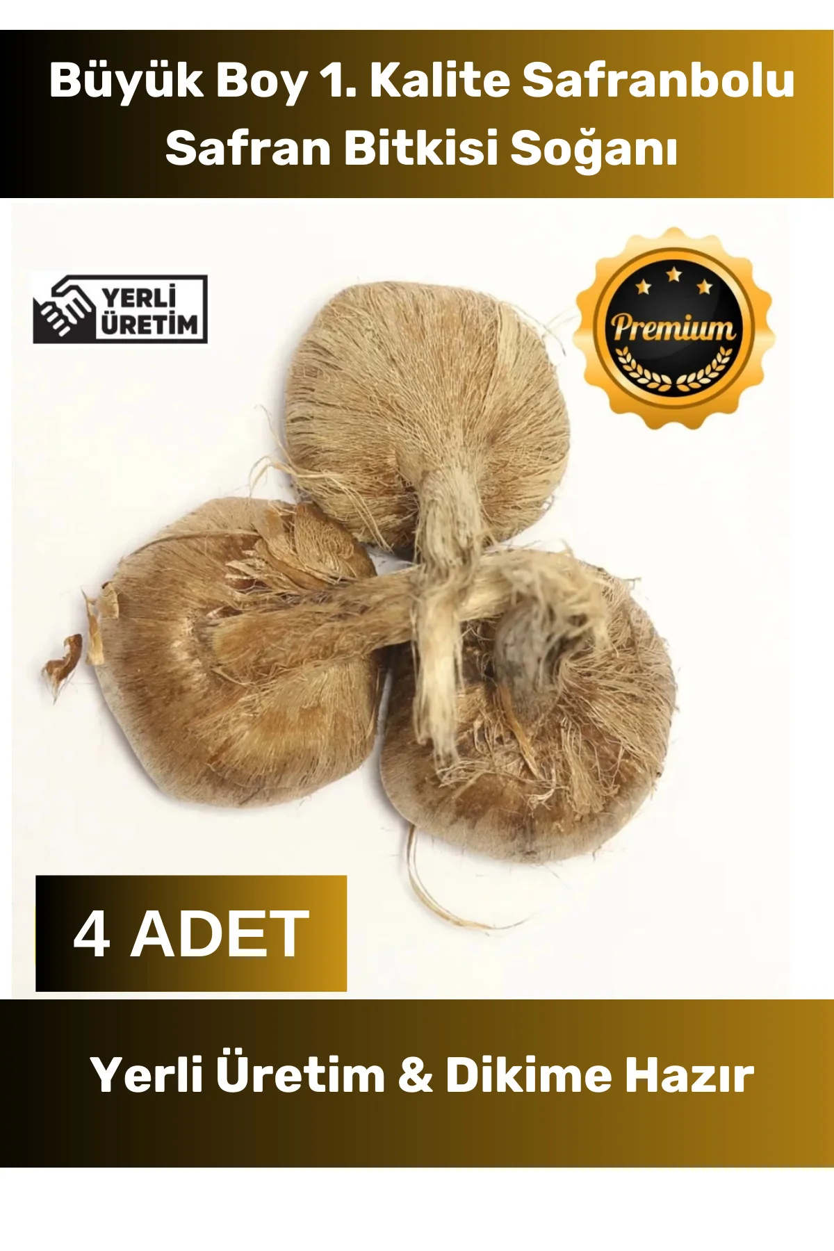 Premium Seri Dikime Hazır Yerli Üretim Büyük Boy 1. Kalite Safranbolu Safran Bitkisi Soğanı 4 Adet